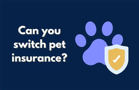 Can You Switch Pet Insurance? A Comprehensive Guide to Changing Providers for Your Furry Friend